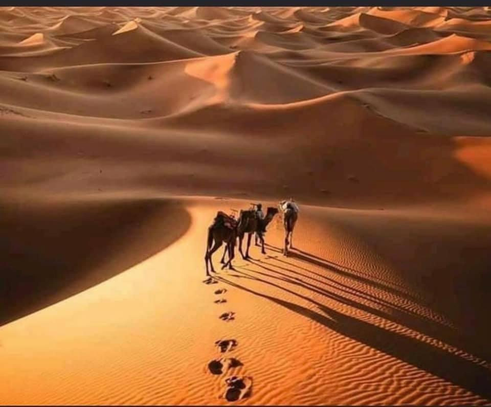Camp Desert Bivouac Chegaga El Gouera Exteriér fotografie